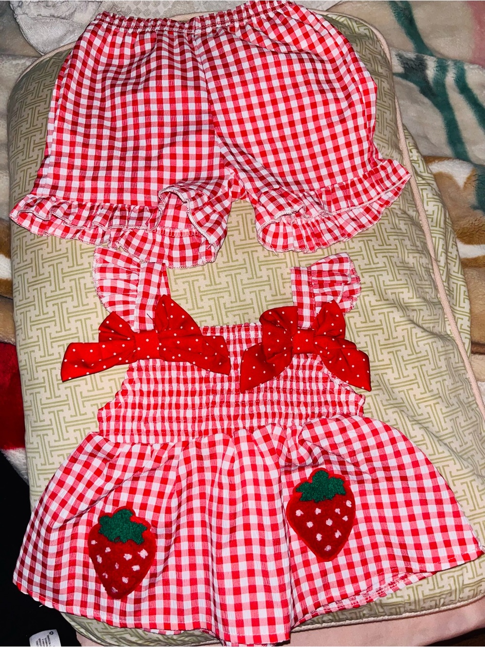 Kids Red Gingham Strawberry Dress Set - Unbranded 18-24 m